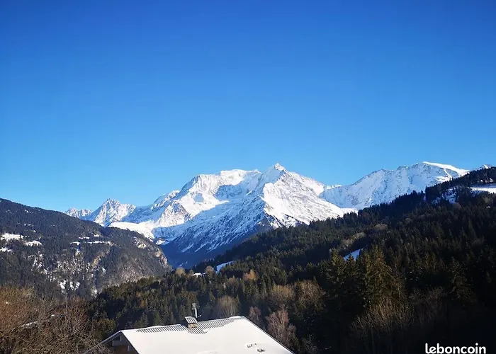 Vue Splendide Mont Blanc *