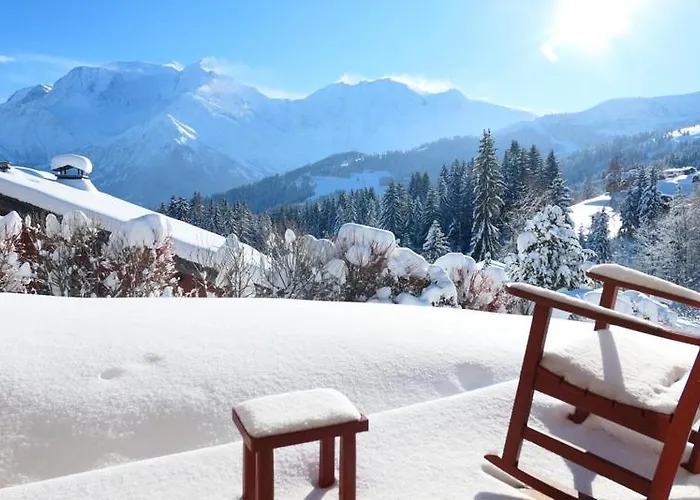 Vue Splendide Mont Blanc Appartement