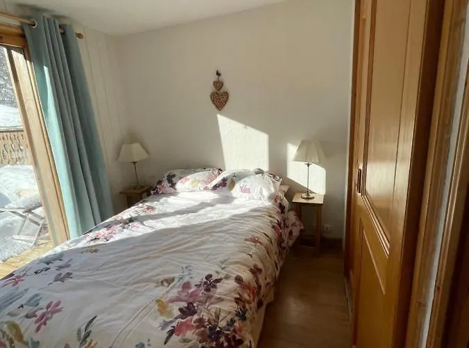 Vue Splendide Mont Blanc Appartement