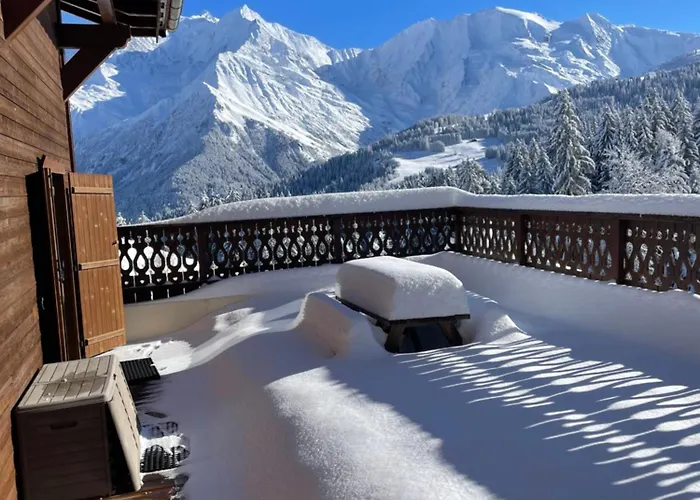 Appartement Vue Splendide Mont Blanc *