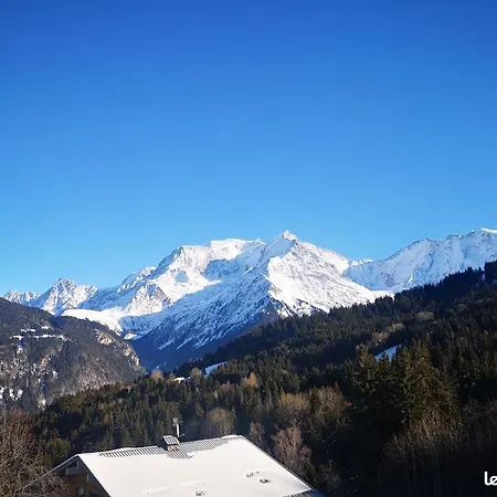 Vue Splendide Mont Blanc *
