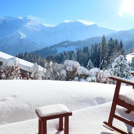 Vue Splendide Mont Blanc דירה